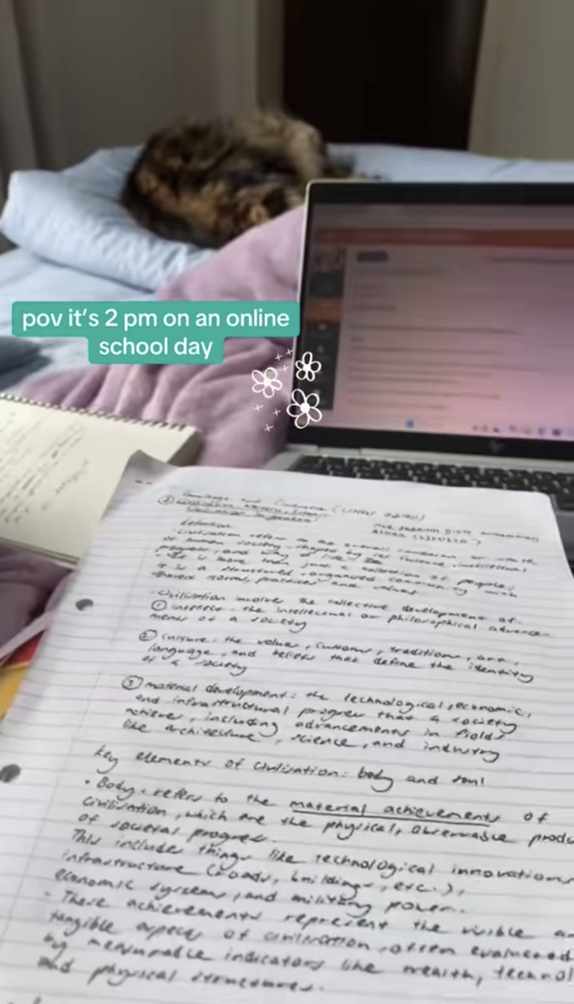 Video project